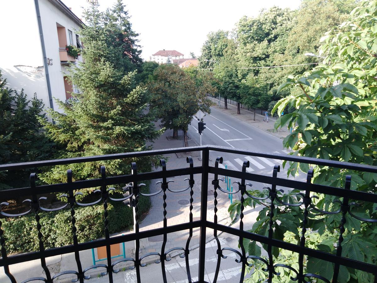 Villa Veliki Park Šabac Exterior foto