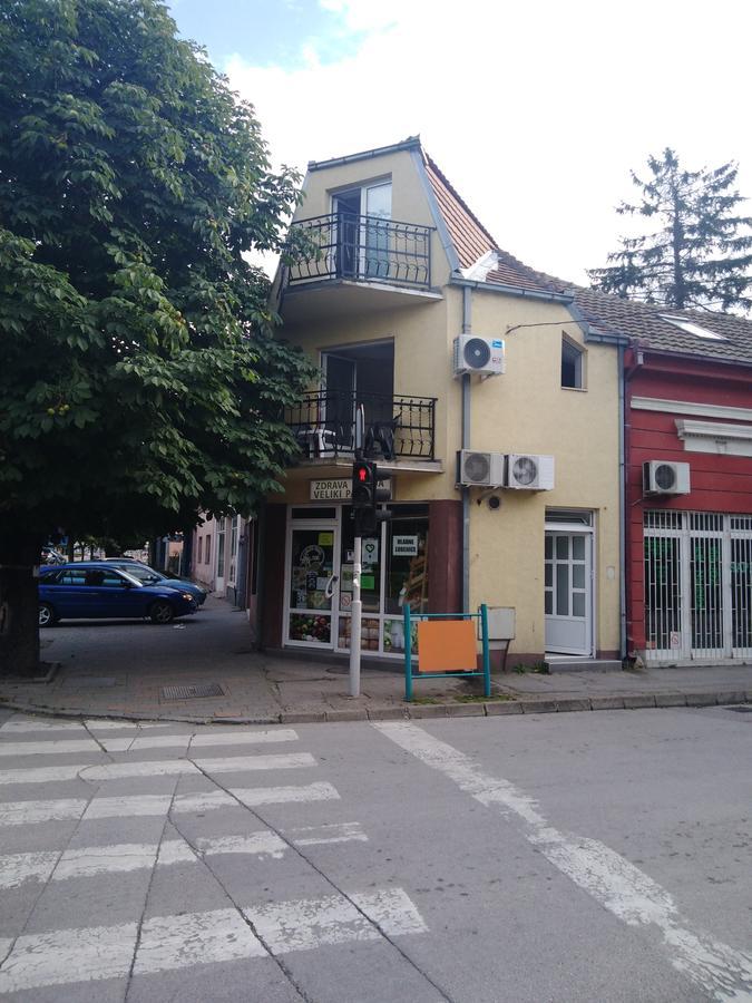 Villa Veliki Park Šabac Exterior foto