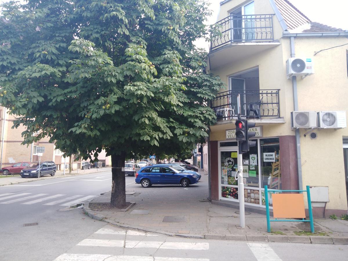 Villa Veliki Park Šabac Exterior foto